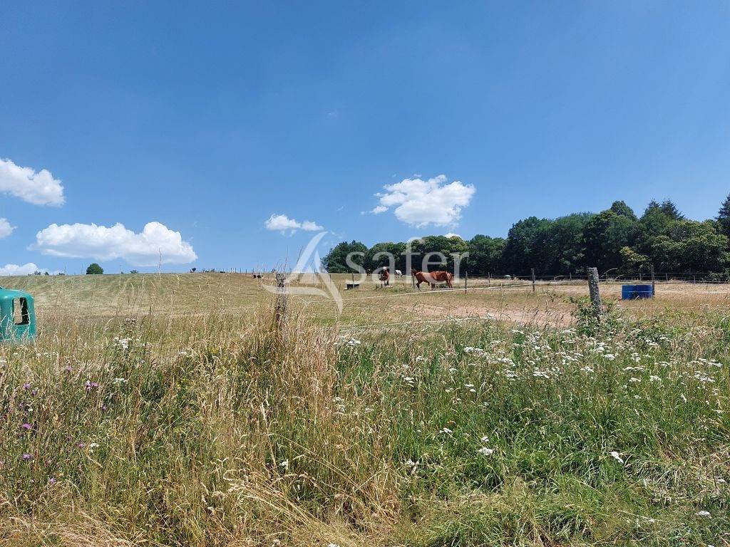 Landbouw bedrijf Koop Haute-Vienne