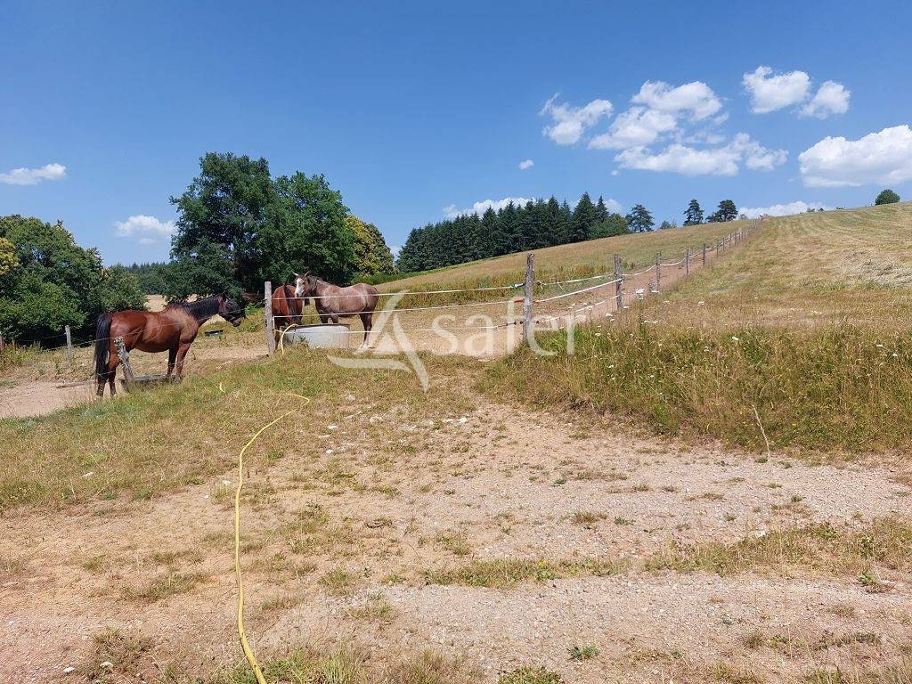 Landbouw bedrijf Koop Haute-Vienne