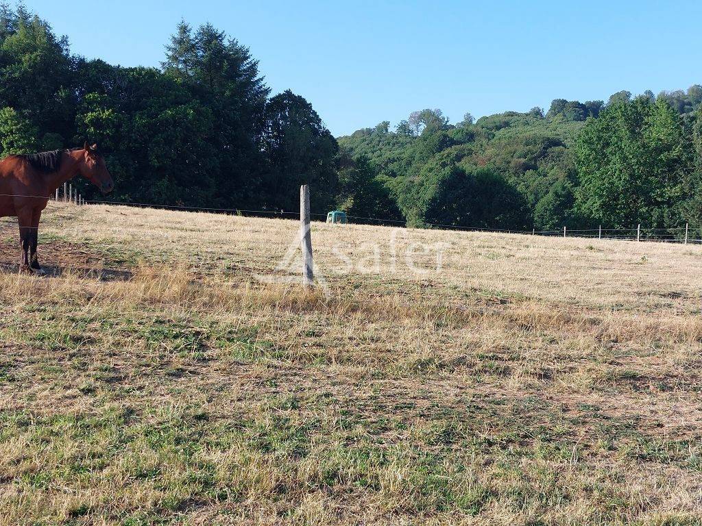 Landbouw bedrijf Koop Haute-Vienne
