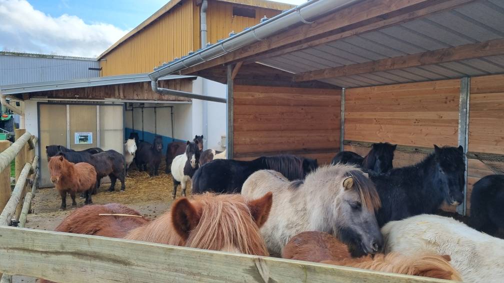 Ruiterclub Koop Vosges