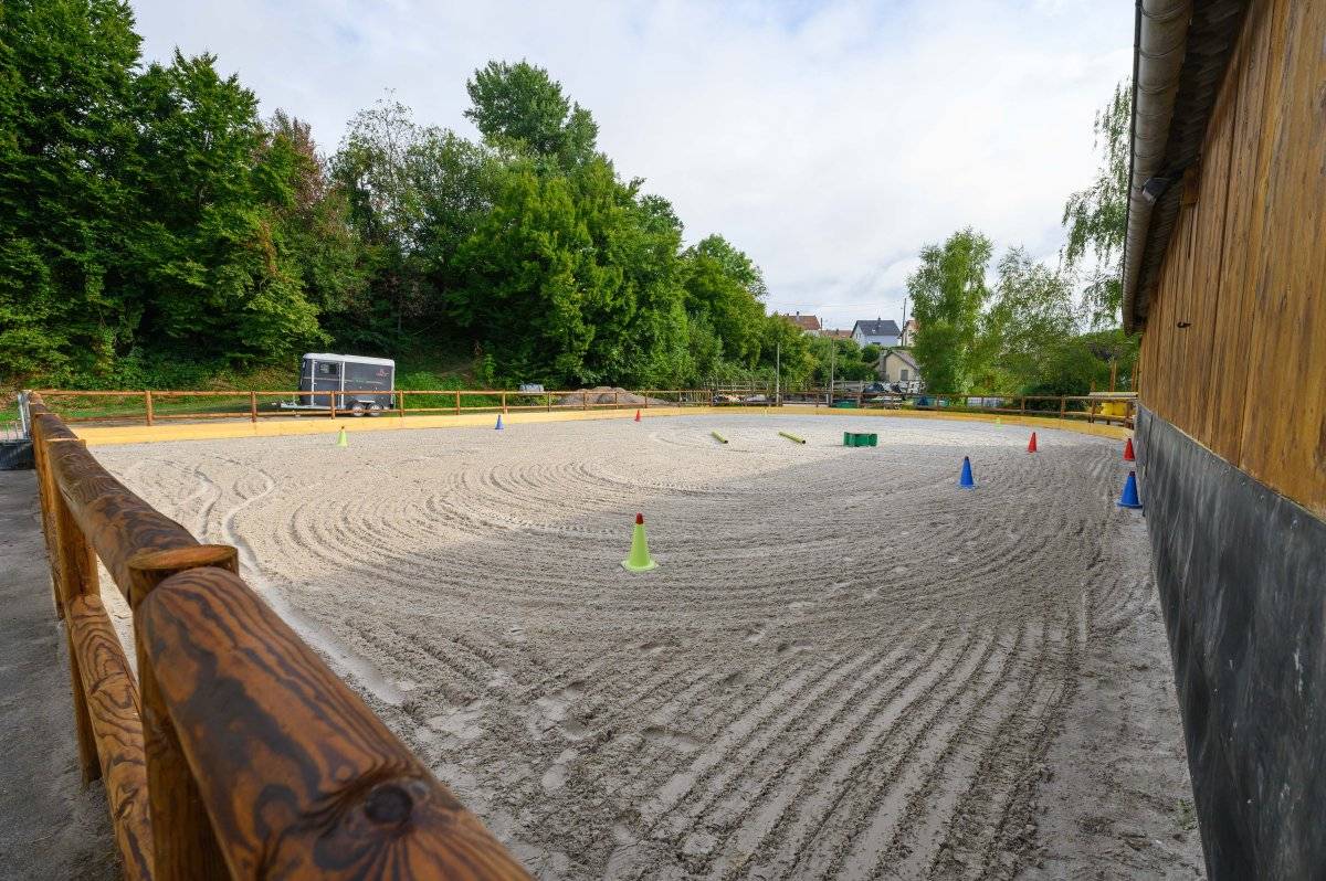 Ruiterclub Koop Vosges