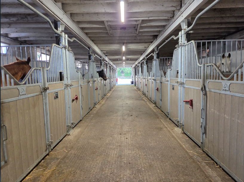 Ruiterclub Koop Vosges
