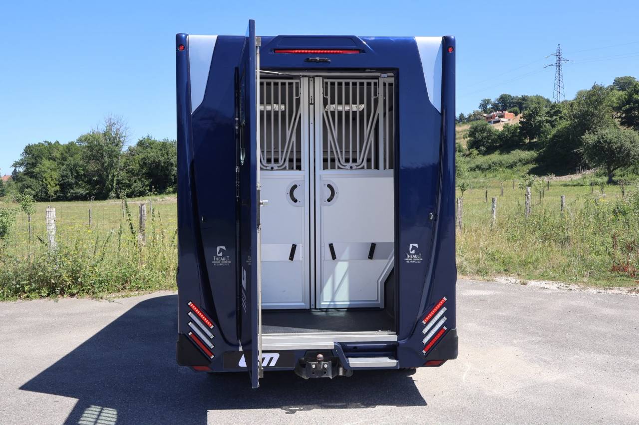 Kleine paardenvrachtwagen (B rijbewijs) Theault THEAULT MASTER 2024 Tweedehands
