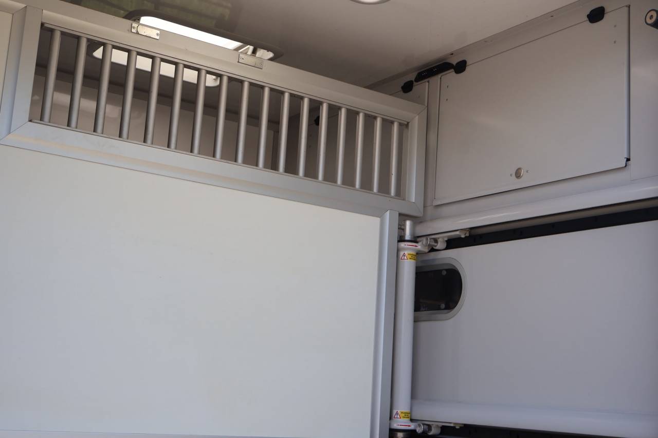 Kleine paardenvrachtwagen (B rijbewijs) Theault THEAULT MASTER 2024 Tweedehands
