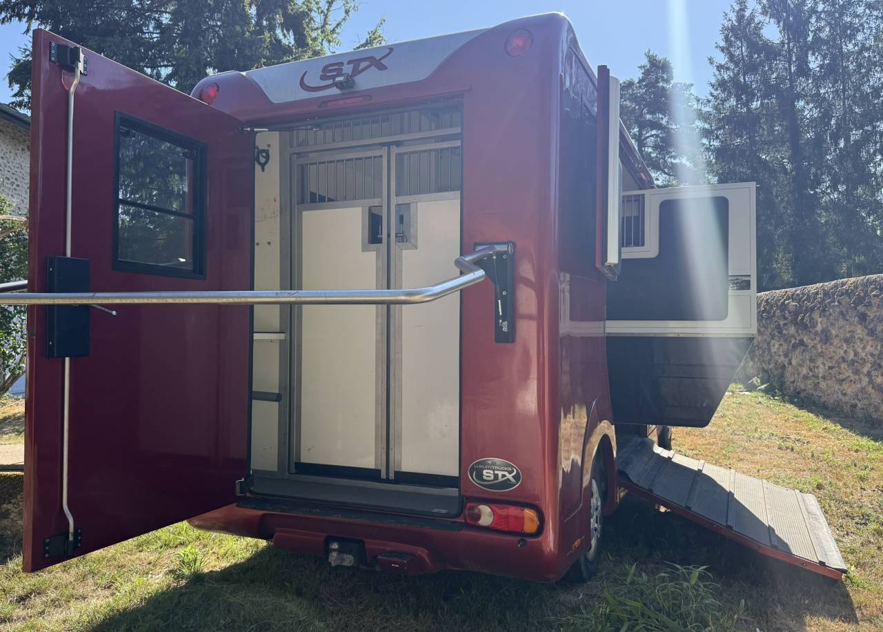 Kleine paardenvrachtwagen (B rijbewijs) Renault Renault Master DCI 150 STX mod&egrave;le Stalle 2015 Tweedehands