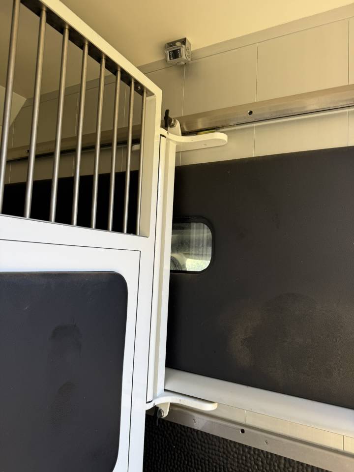 Kleine paardenvrachtwagen (B rijbewijs) Renault Renault Master DCI 150 STX mod&egrave;le Stalle 2015 Tweedehands