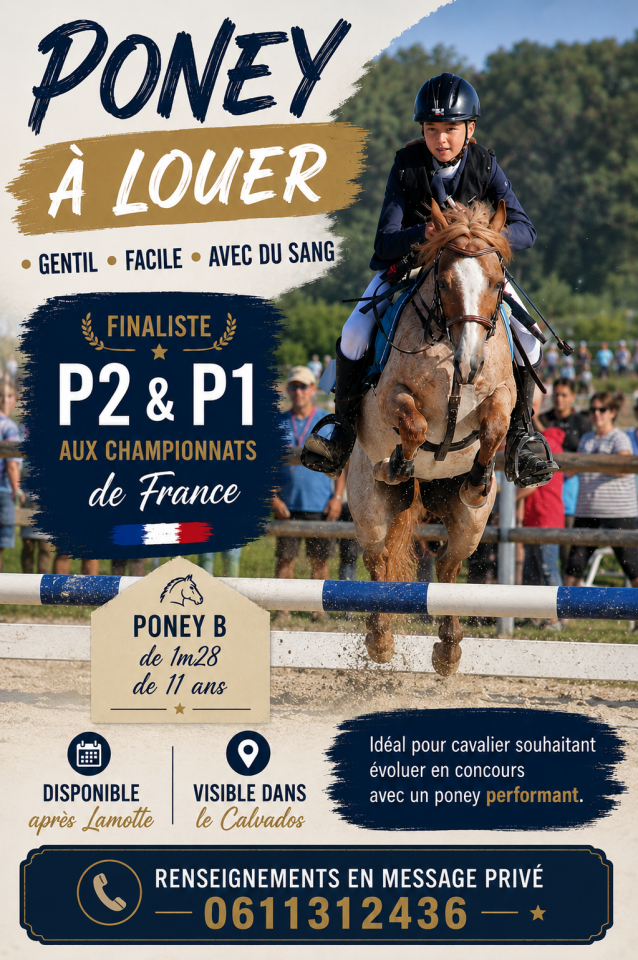 Ruin Welsh Pony (Section B) Te leen 2015 Vos roan