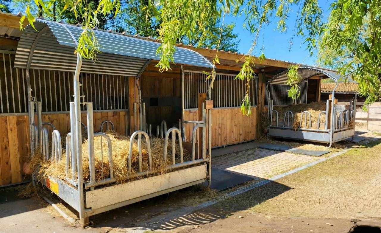 Hippisch vastgoed Koop Ain