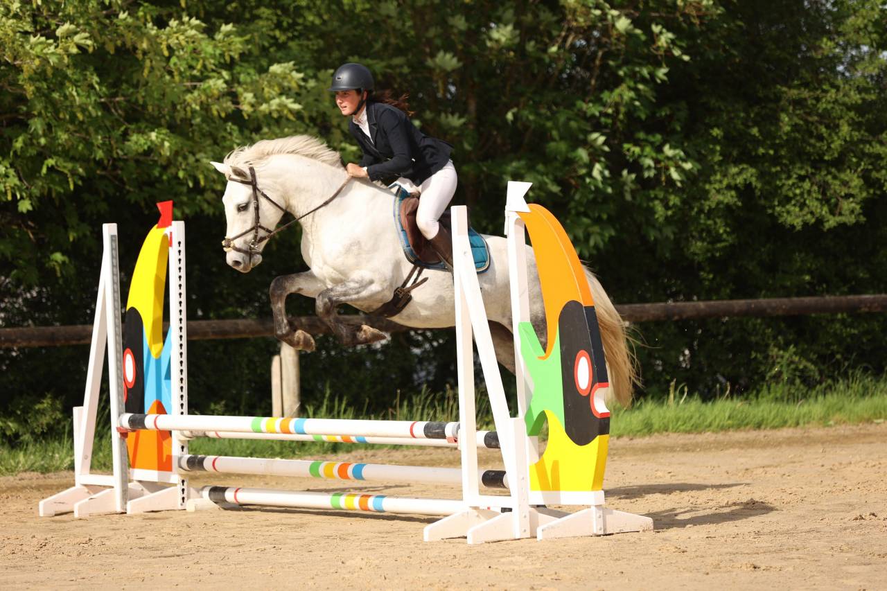 Ruin Franse rijpony PFS Te koop 2022 Schimmel ,  DEXTER LEAM PONDI