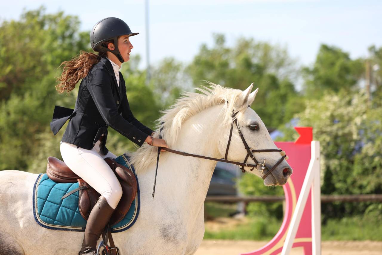 Ruin Franse rijpony PFS Te koop 2022 Schimmel ,  DEXTER LEAM PONDI