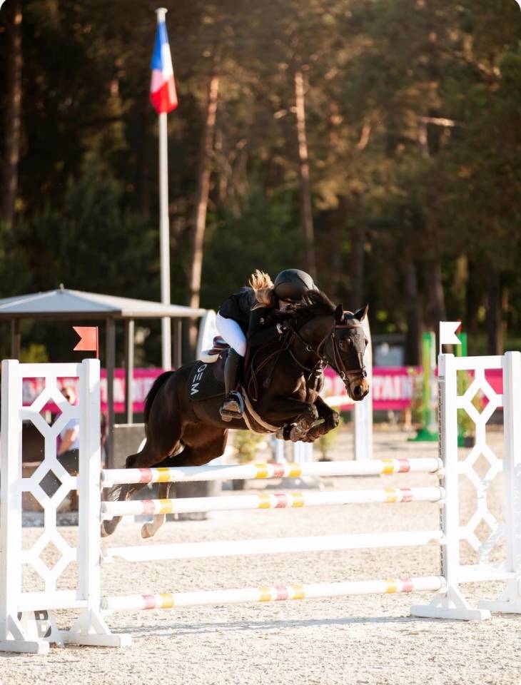 Merrie Franse rijpony PFS Te leen 2017 Zwart ,  WELCOME SYMPATICO