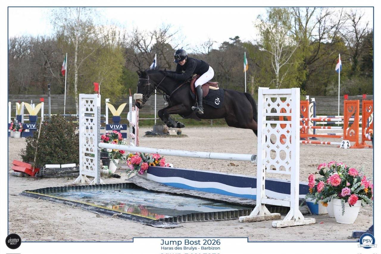 Merrie Franse rijpony PFS Te leen 2017 Zwart ,  WELCOME SYMPATICO