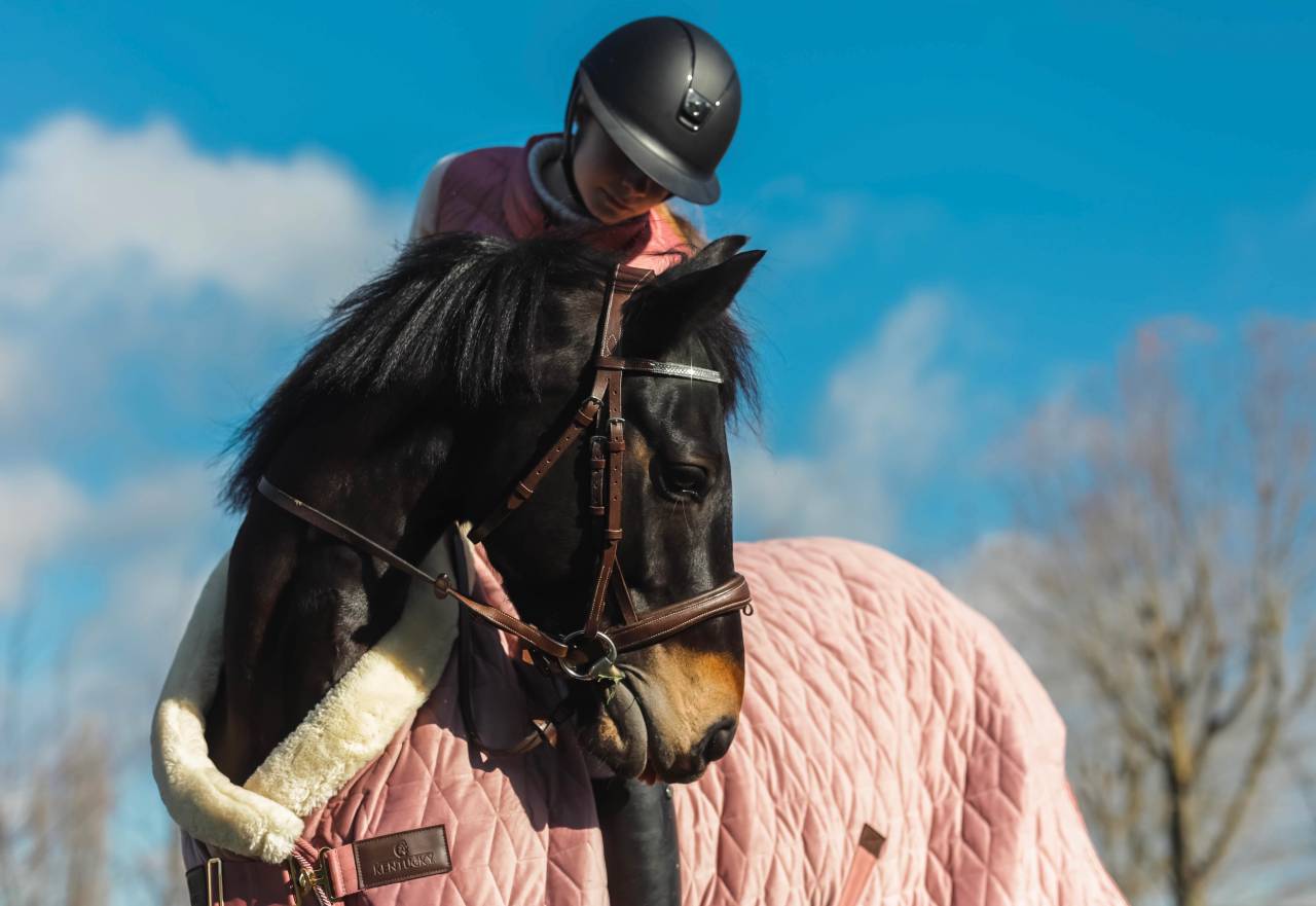 Merrie Franse rijpony PFS Te leen 2017 Zwart ,  WELCOME SYMPATICO