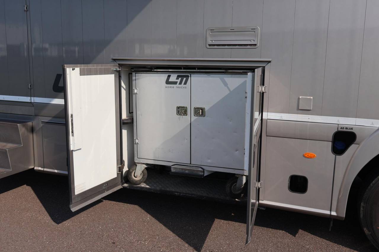 Zware paardenvrachtwagen (groot rijbewijs) STX STX 6 CHEVAUX  2011 Tweedehands