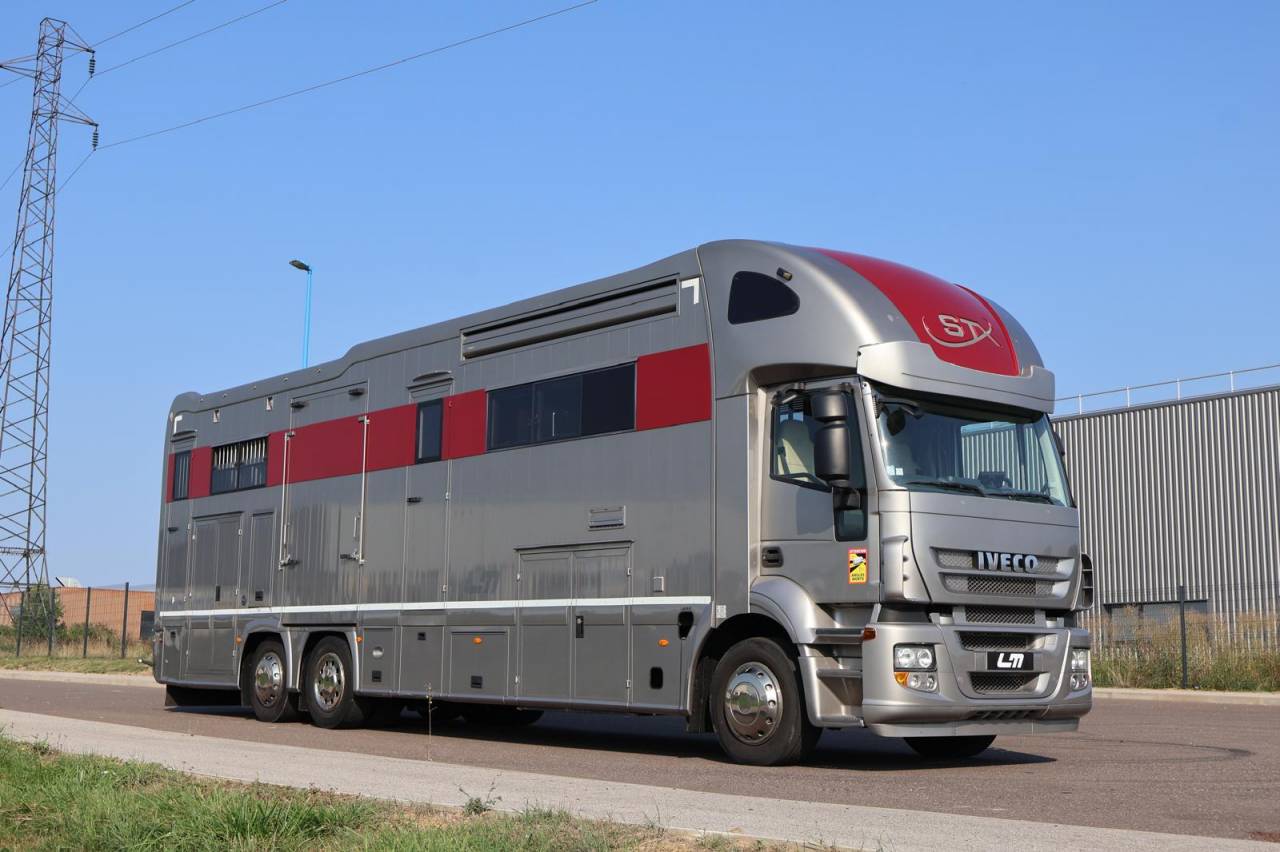 Zware paardenvrachtwagen (groot rijbewijs) STX STX 6 CHEVAUX  2011 Tweedehands