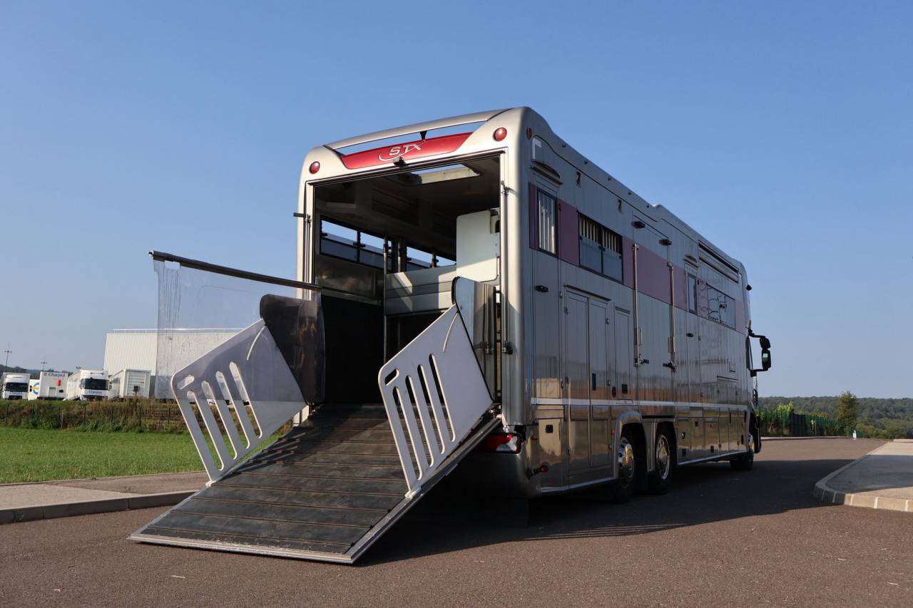 Zware paardenvrachtwagen (groot rijbewijs) STX STX 6 CHEVAUX  2011 Tweedehands