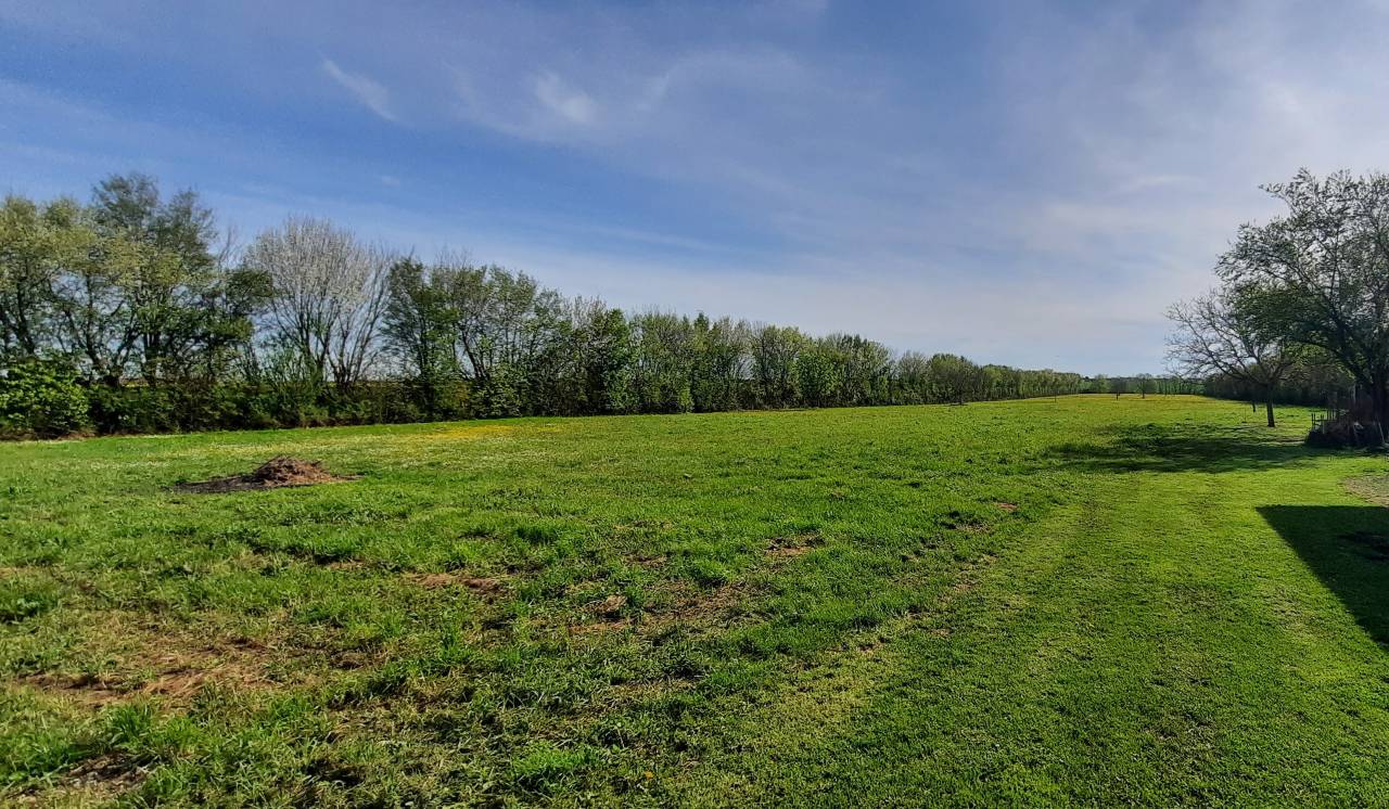 Mooi hippisch vastgoed Koop Charente-Maritime