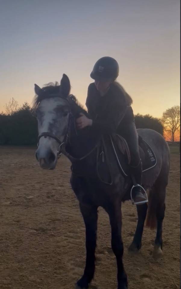 Ruin Connemara Te koop 2023 Schimmel