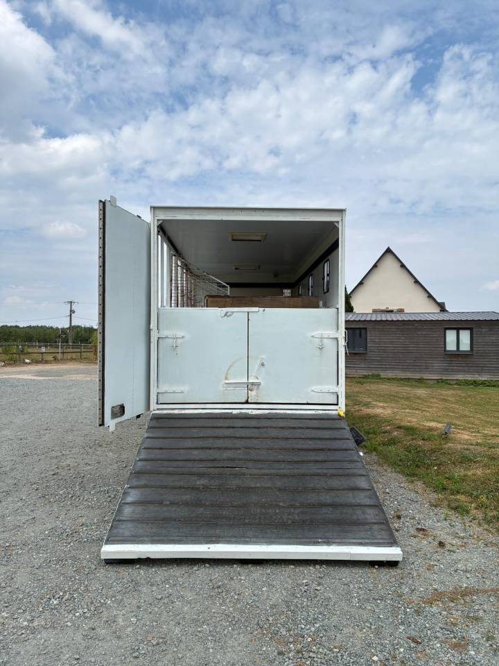Zware paardenvrachtwagen (groot rijbewijs) Renault RENAULT 1998 Tweedehands