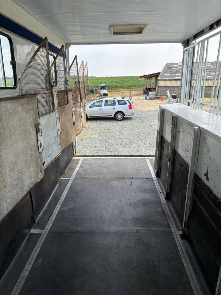 Zware paardenvrachtwagen (groot rijbewijs) Renault RENAULT 1998 Tweedehands