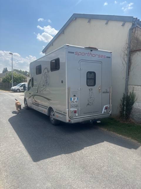 Kleine paardenvrachtwagen (B rijbewijs) Trans Box Svelto 5 2023 Tweedehands