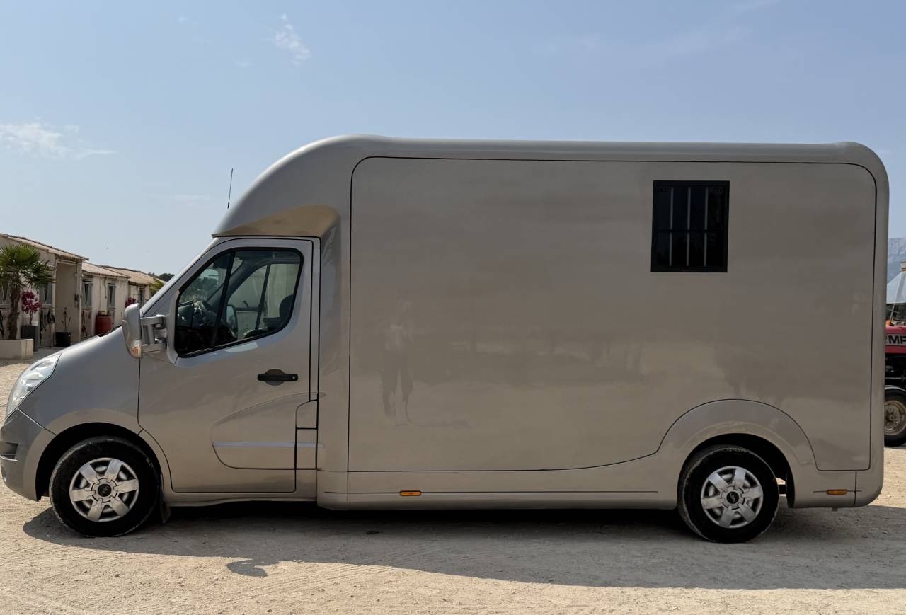 Kleine paardenvrachtwagen (B rijbewijs) STX 3 places assises Stalle 2 chevaux  2014 Tweedehands