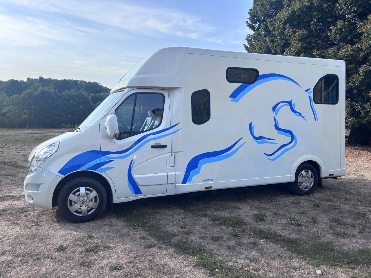 Kleine paardenvrachtwagen (B rijbewijs) Renault Master Proteo 2010 Tweedehands