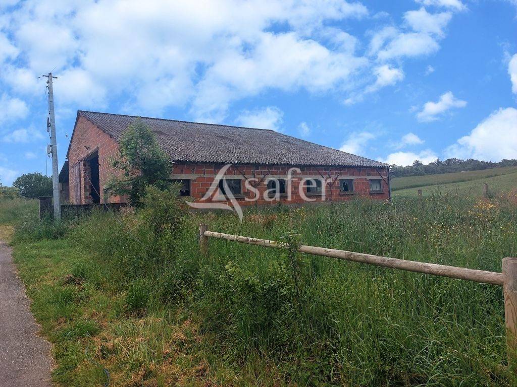 Landbouw bedrijf Koop Haute-Vienne