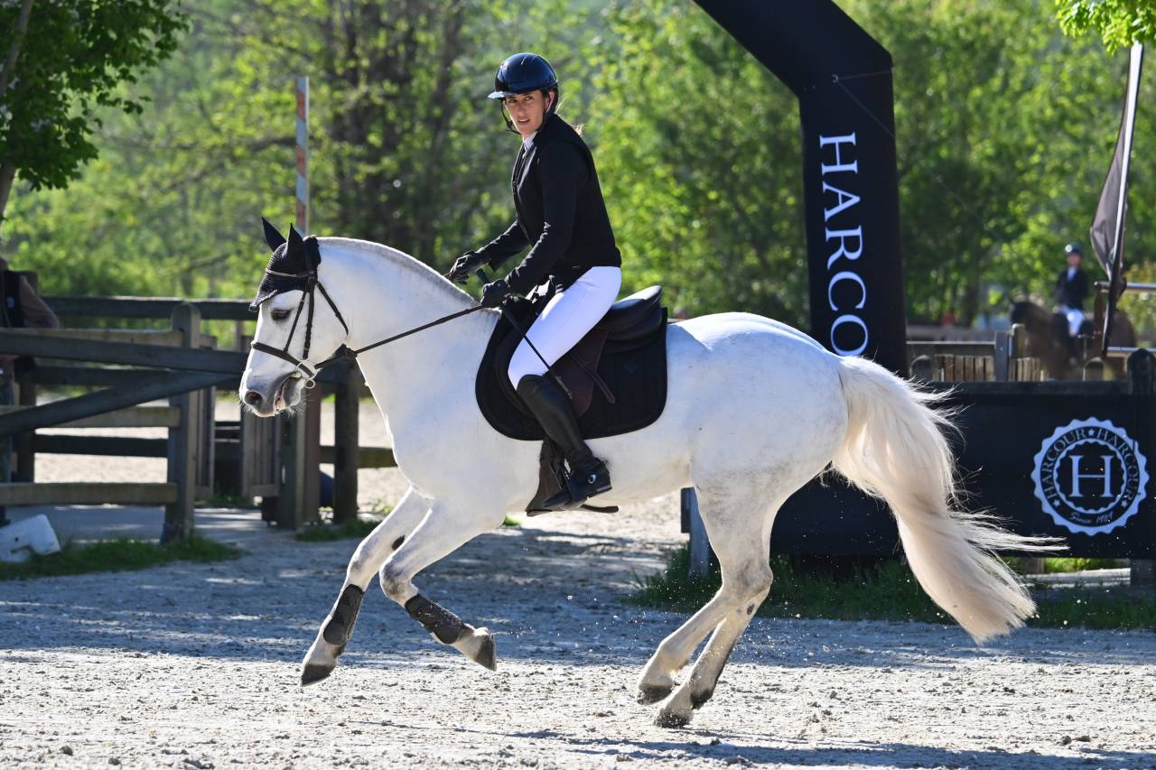 Ruin Connemara Te koop 2017 Schimmel ,  DEXTER LEAM PONDY