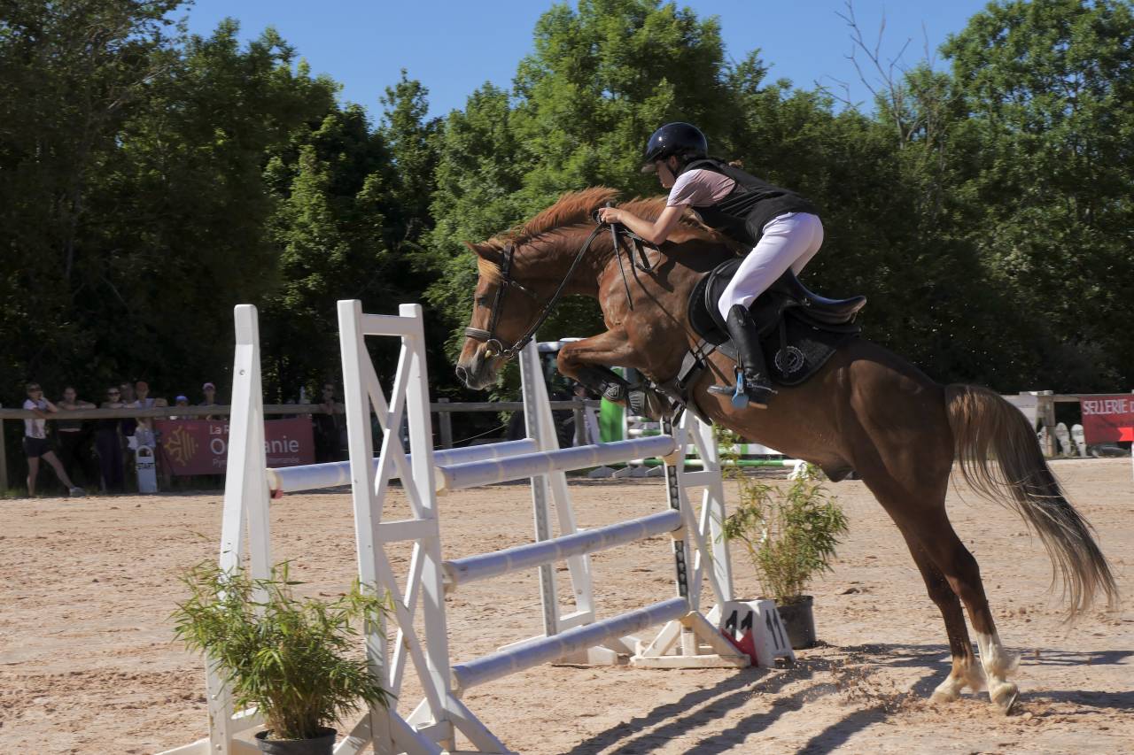 Ruin Engelse rijpony Te koop 2015 Vos