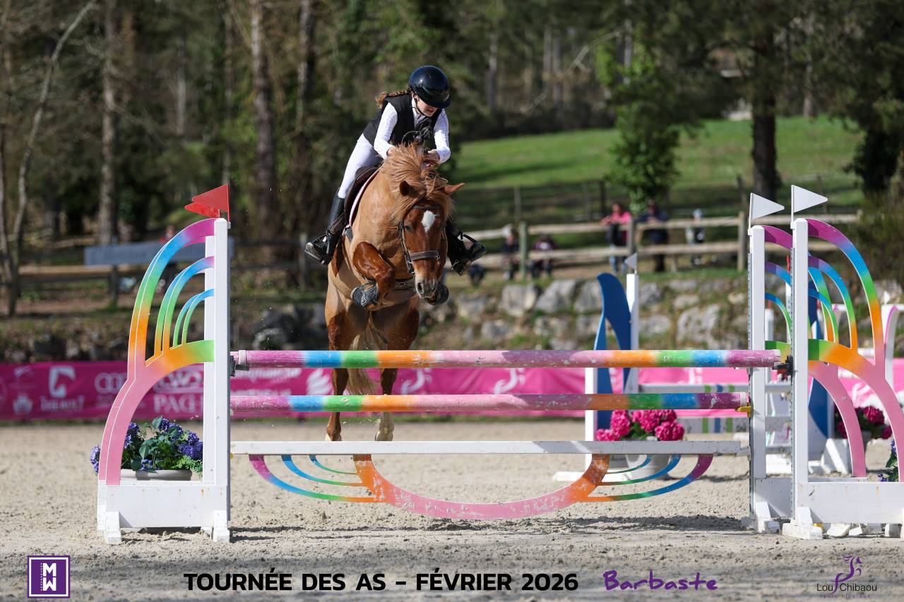 Ruin Engelse rijpony Te koop 2015 Vos