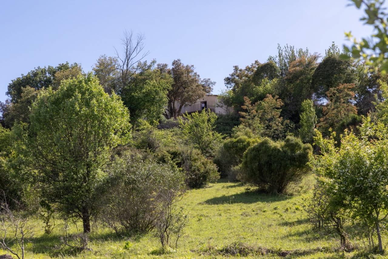 Hippisch vastgoed Koop Alpes-Maritimes