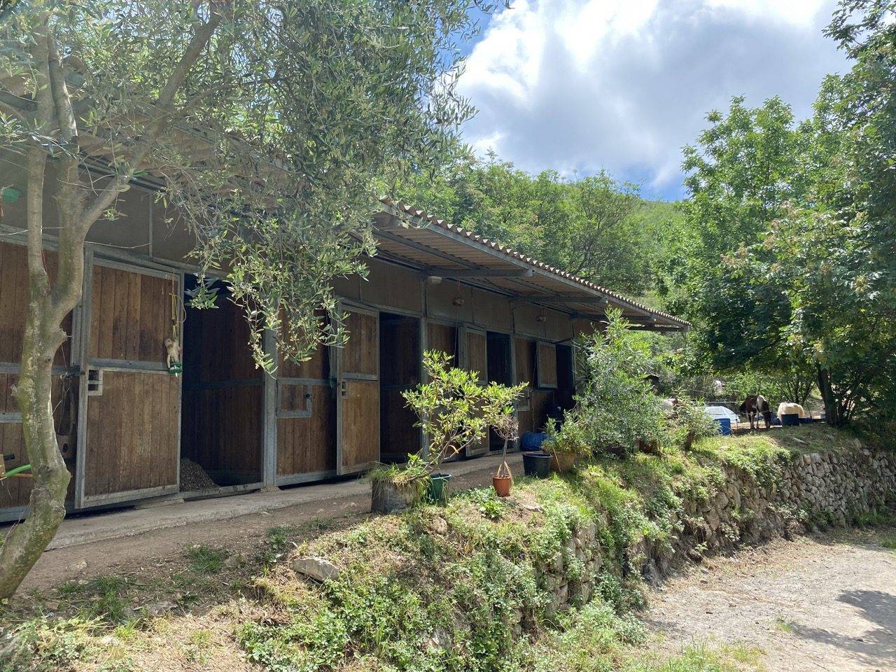 Hippisch vastgoed Koop Alpes-Maritimes