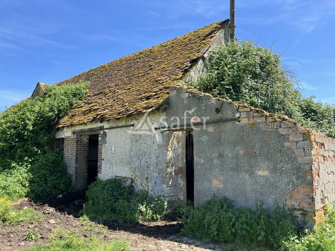 Landbouw bedrijf Koop Loiret