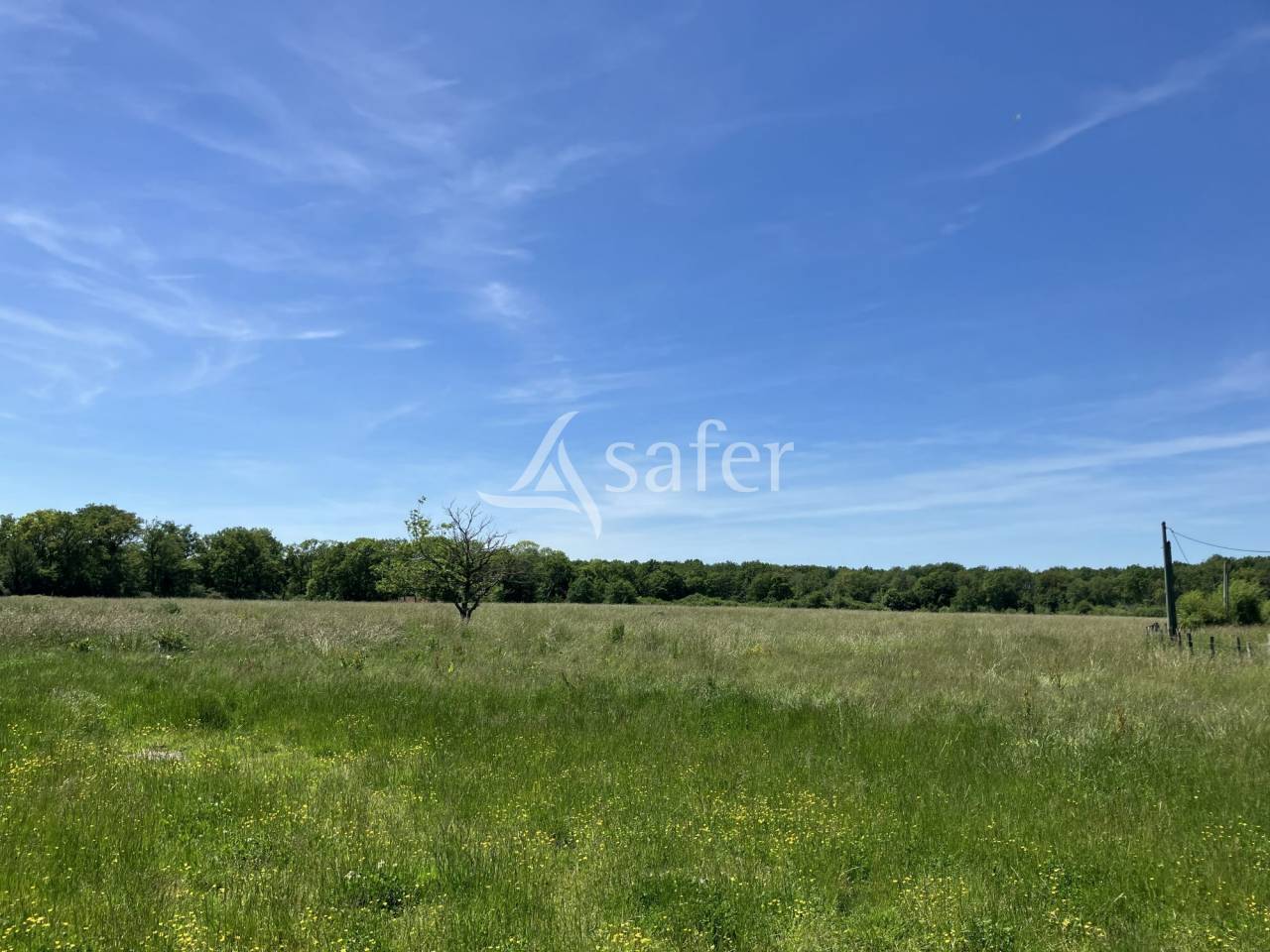 Landbouw bedrijf Koop Loiret