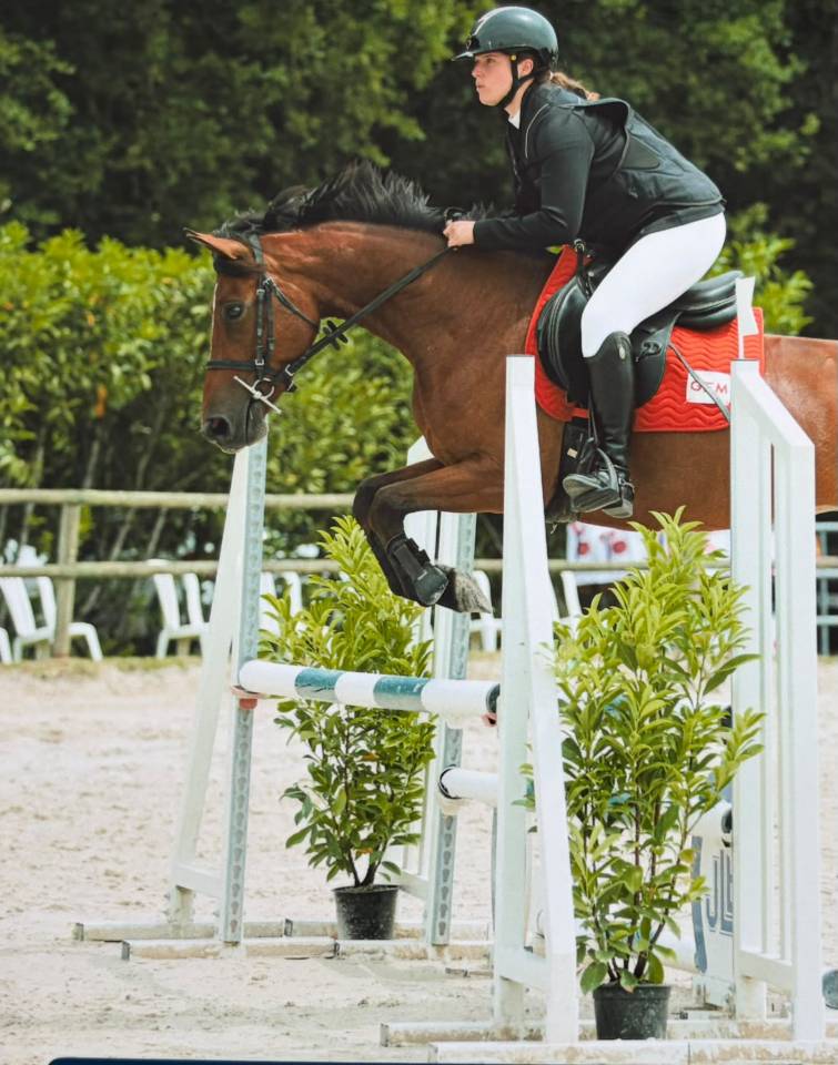 Merrie Franse rijpony PFS Te koop 2021 Donker bruin / bai ,  Syriac