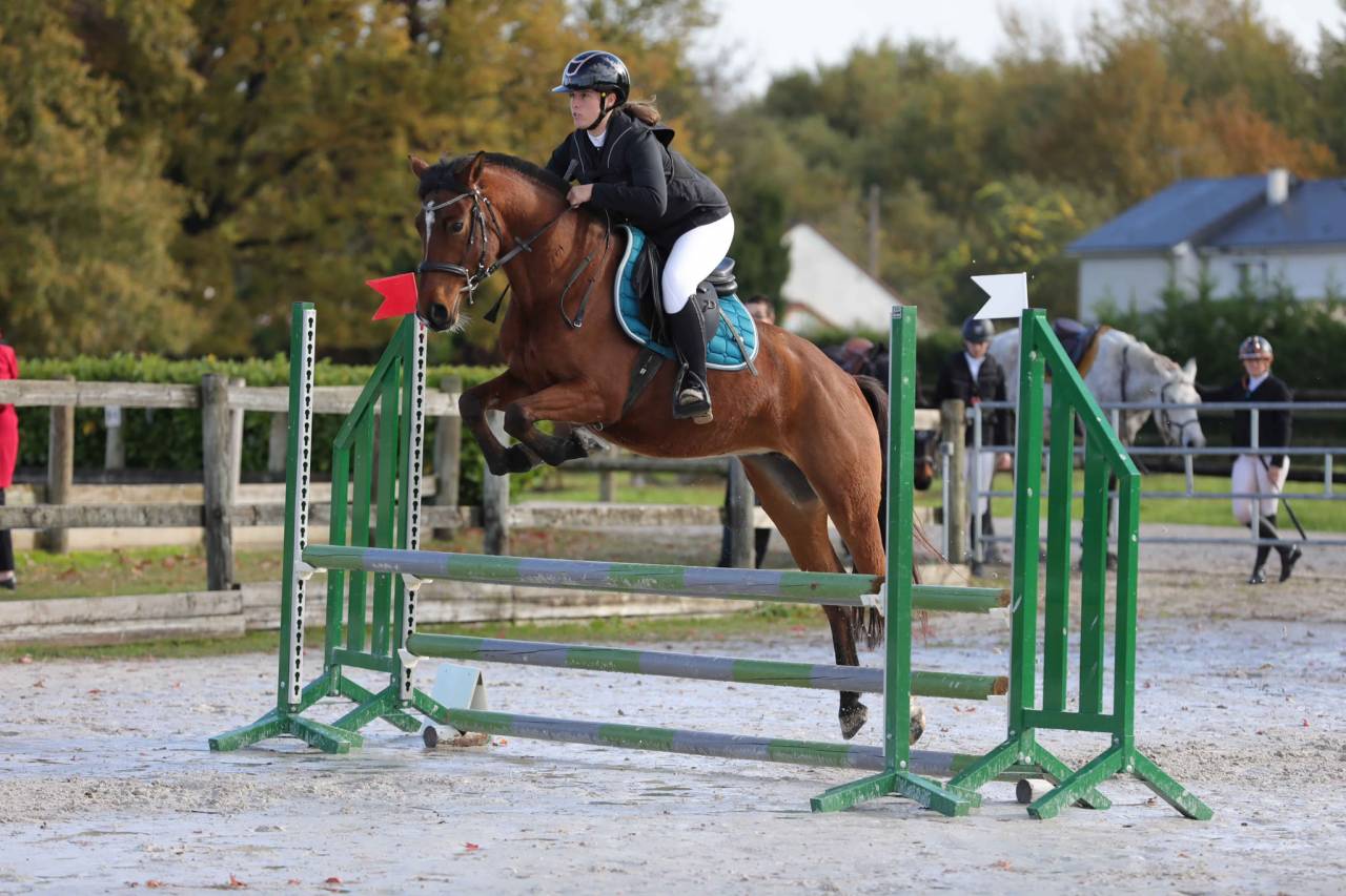 Merrie Franse rijpony PFS Te koop 2021 Donker bruin / bai ,  Syriac