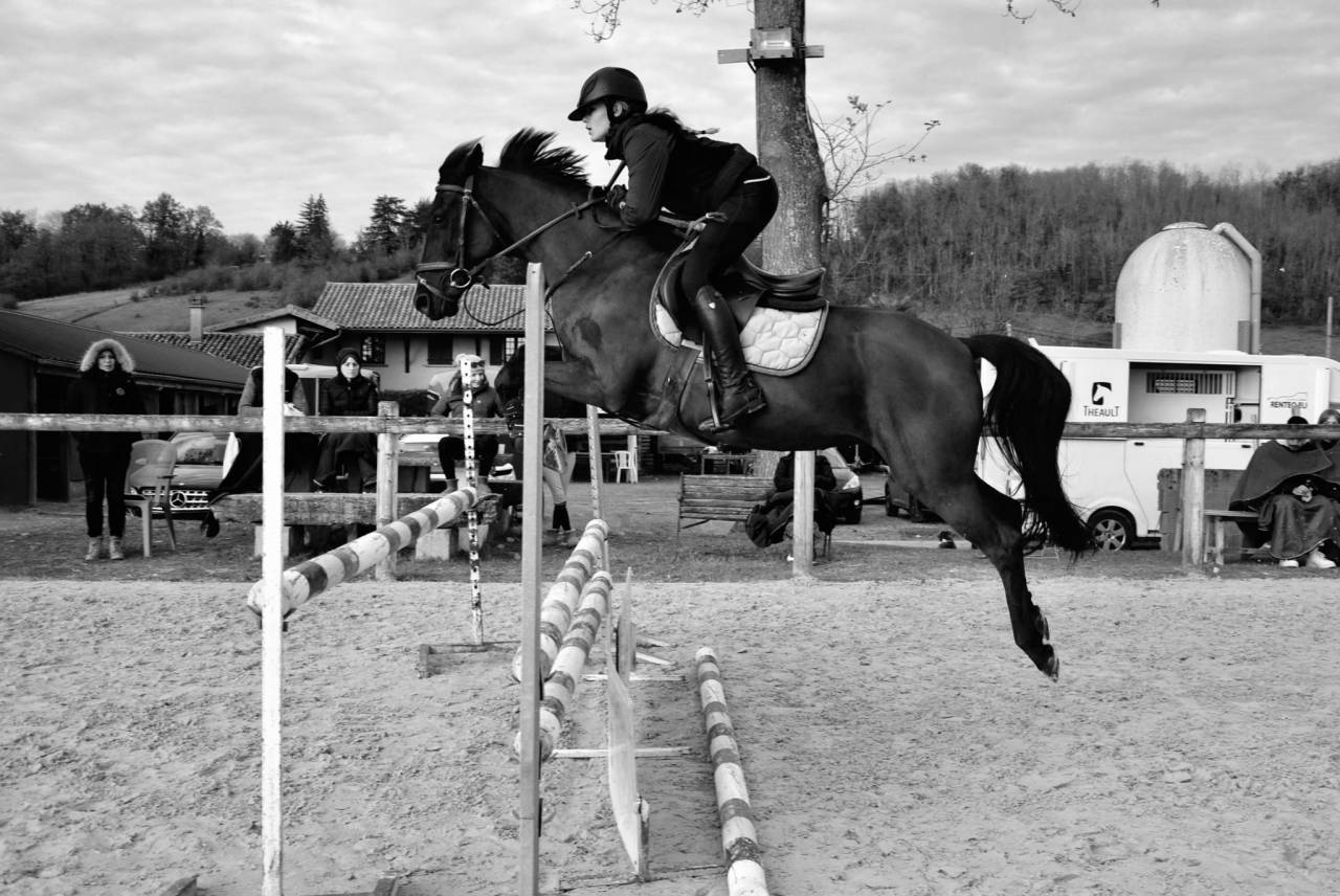 Merrie Franse rijpony PFS Te koop 2015 Zwart ,  Nutrix