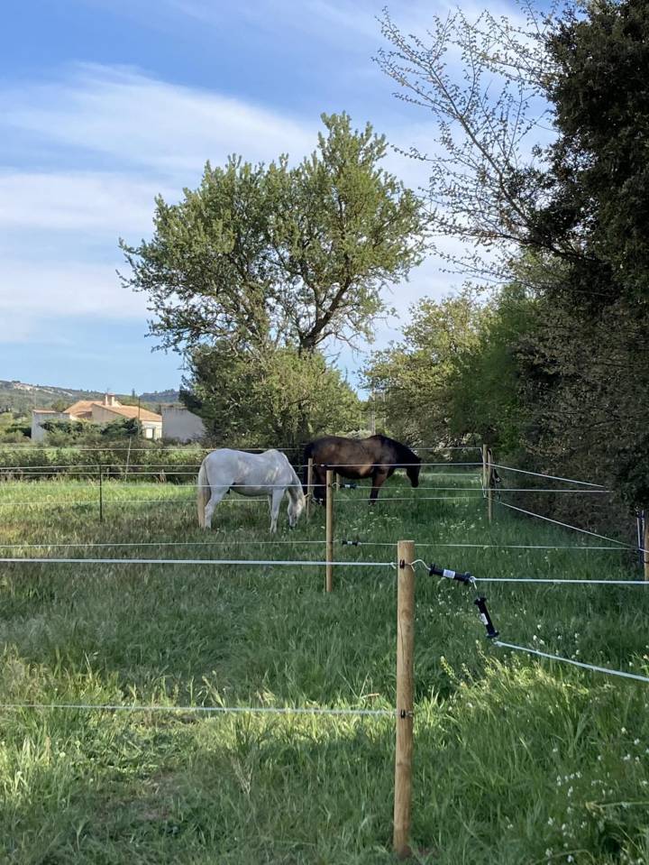 Paarden accommodatie Koop Bouches-du-Rh&ocirc;ne