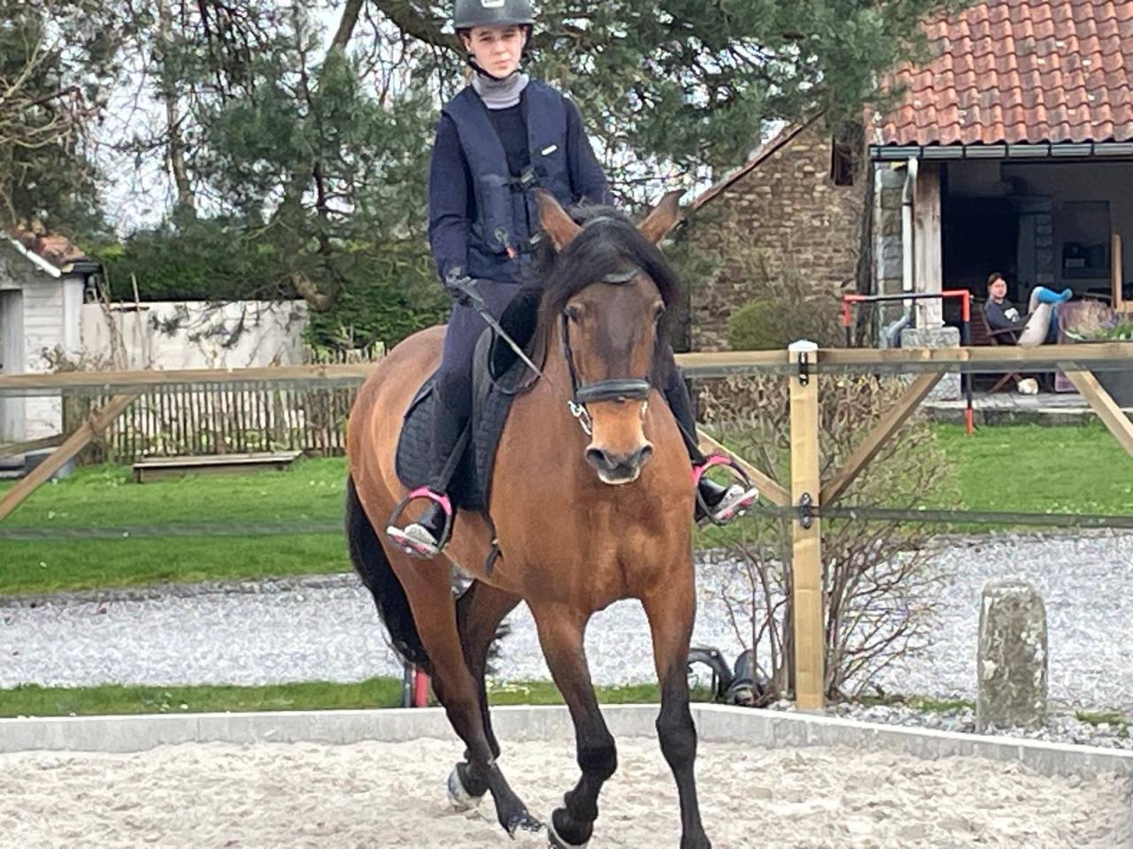 Merrie Spaans Normand Te koop 2016 Isabel ,  Ganador MR