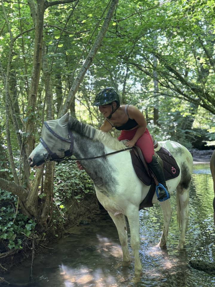 Ruin Franse rijpony PFS Te koop 2022 Schimmel