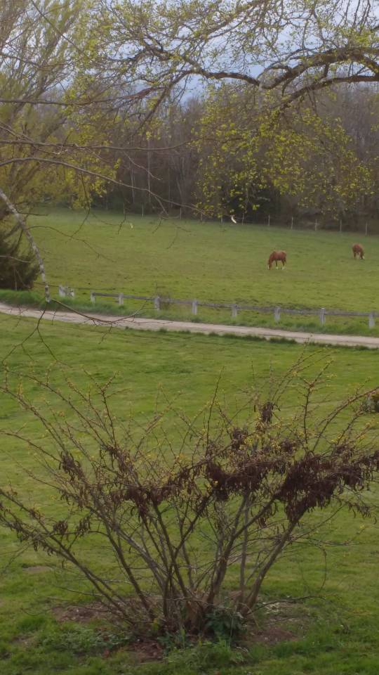 Hippisch vastgoed Huur Lot-et-Garonne