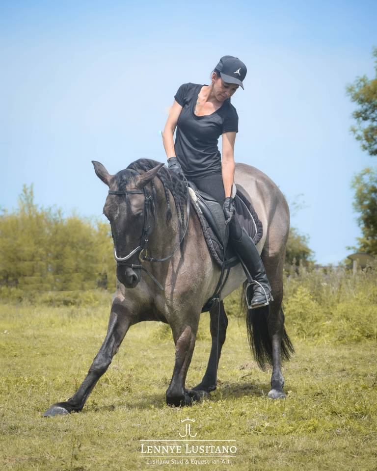 Dekhengst Lusitano Te koop 2018 Muisgrijs ,  OUREM SAG