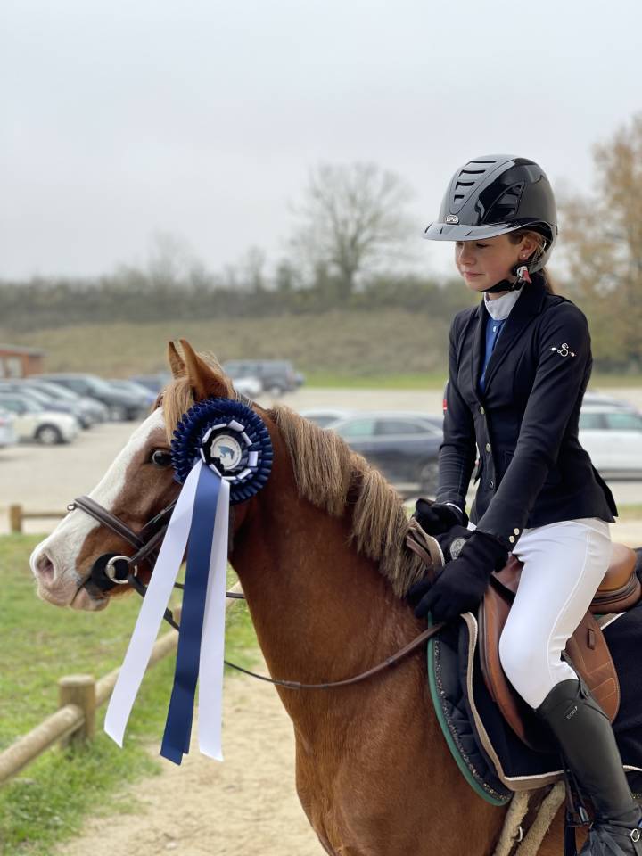 Ruin Welsh Pony (Section B) Te koop 2013 Vos