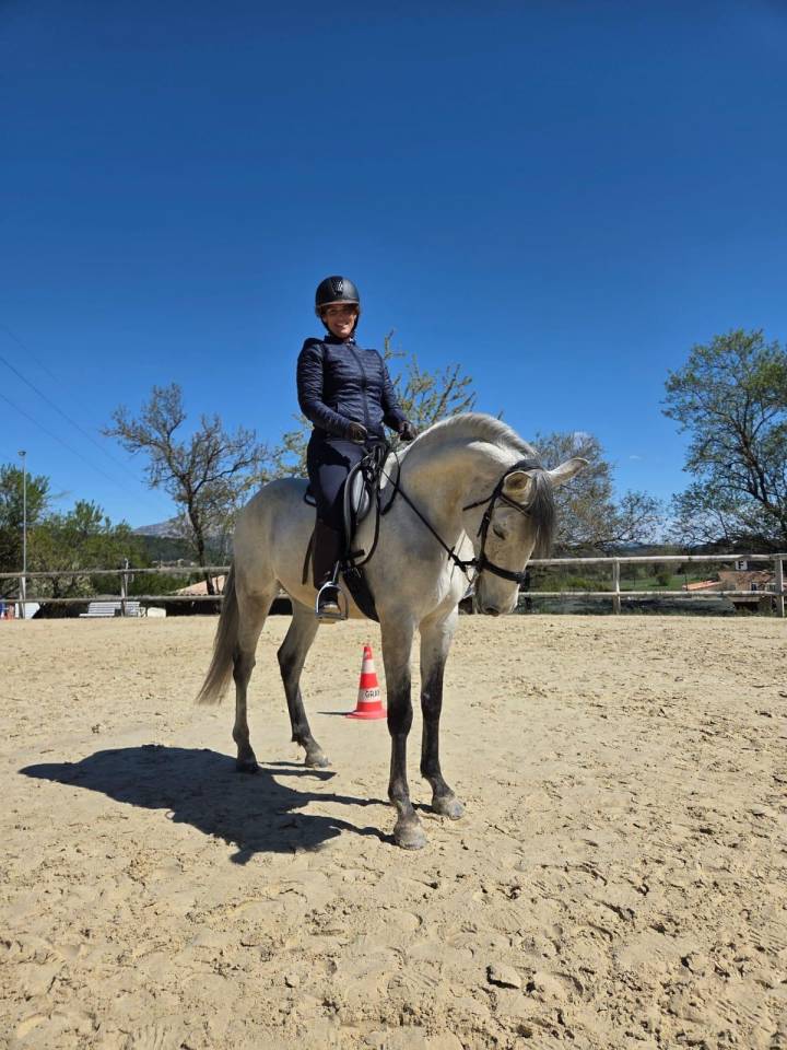 Ruin Lusitano Te koop 2019 Schimmel