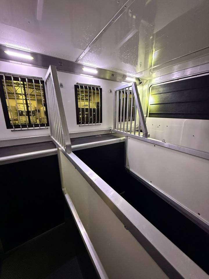 Zware paardenvrachtwagen (groot rijbewijs) Iveco living 2017 Tweedehands