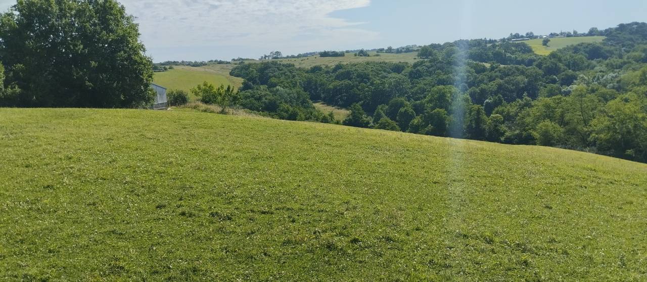Mooi hippisch vastgoed Koop Landes