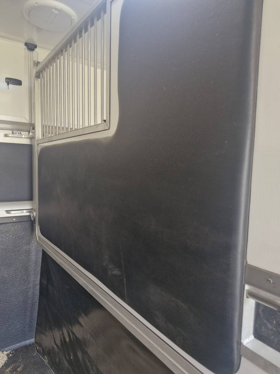 Kleine paardenvrachtwagen (B rijbewijs) Ford FORD 2023 Tweedehands
