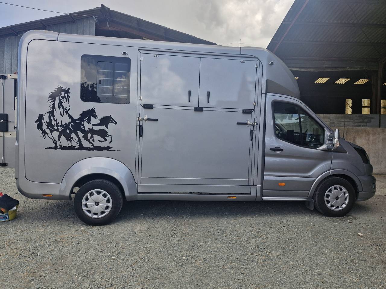 Kleine paardenvrachtwagen (B rijbewijs) Ford FORD 2023 Tweedehands