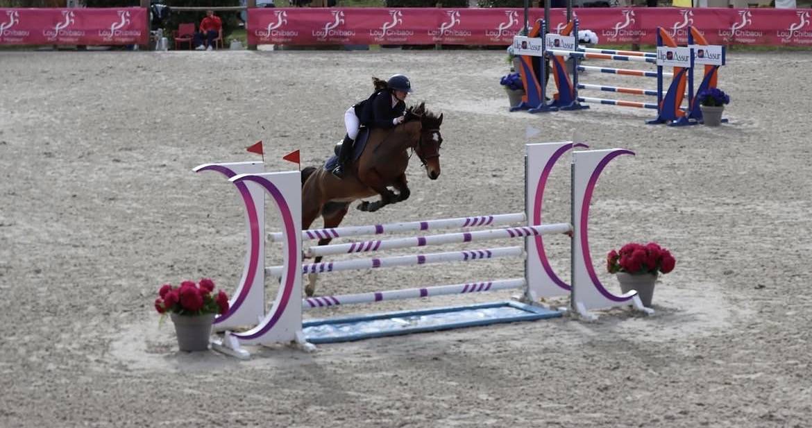 Merrie Franse rijpony PFS Te koop 2015 Donker bruin / bai ,  INTERMEDE A BORD